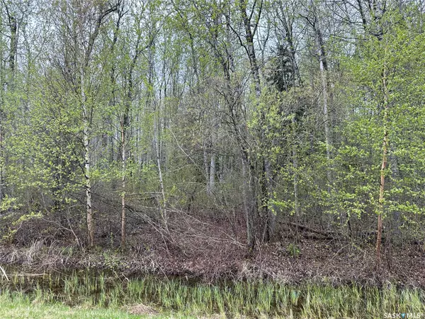 Big River Rm No. 555, SK S0J 0E0,Lake Address