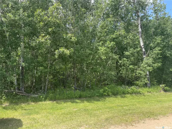 Big River Rm No. 555, SK S0J 0E0,7 Fresno STREET