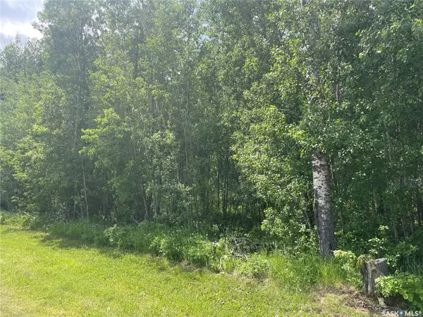 Big River Rm No. 555, SK S0J 0E0,7 Fresno STREET