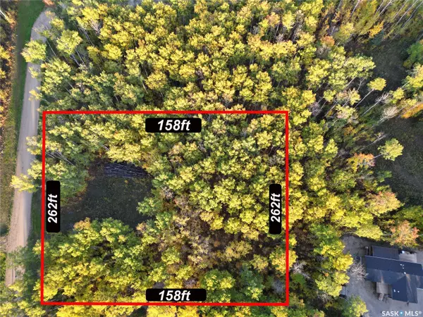 Paddockwood Rm No. 520, SK S0J 0N0,Rural Address #Lot 4
