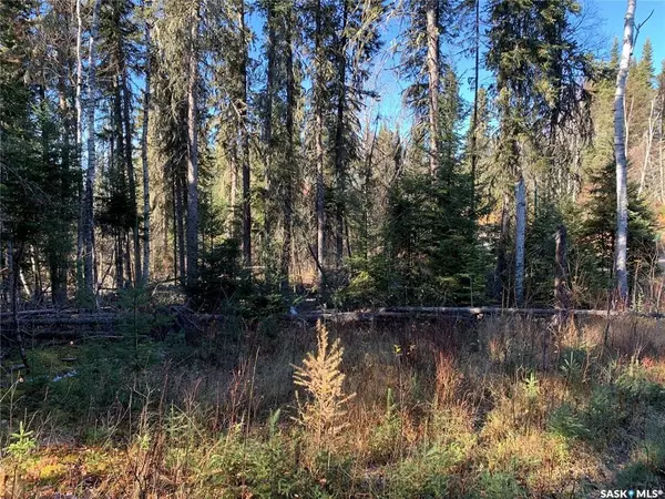 Elk Ridge, SK S0J 0N0,10 Estates DRIVE