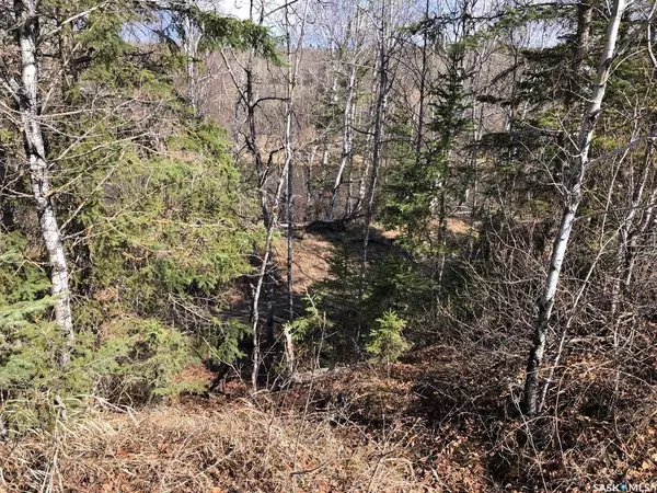 Hudson Bay Rm No. 394, SK S0E 0Y0,Rural Address