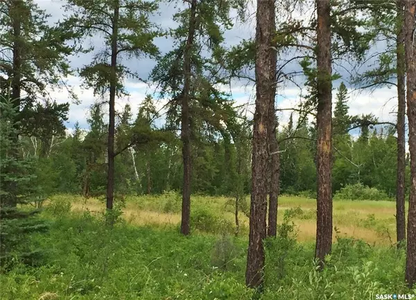 Hudson Bay Rm No. 394, SK S0E 0Y0,Rural Address