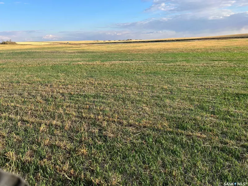 Rural Address, Colonsay Rm No. 342, SK S0K 0Z0
