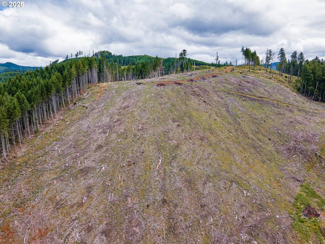 Cottage Grove, OR 97424,Rat Creek RD