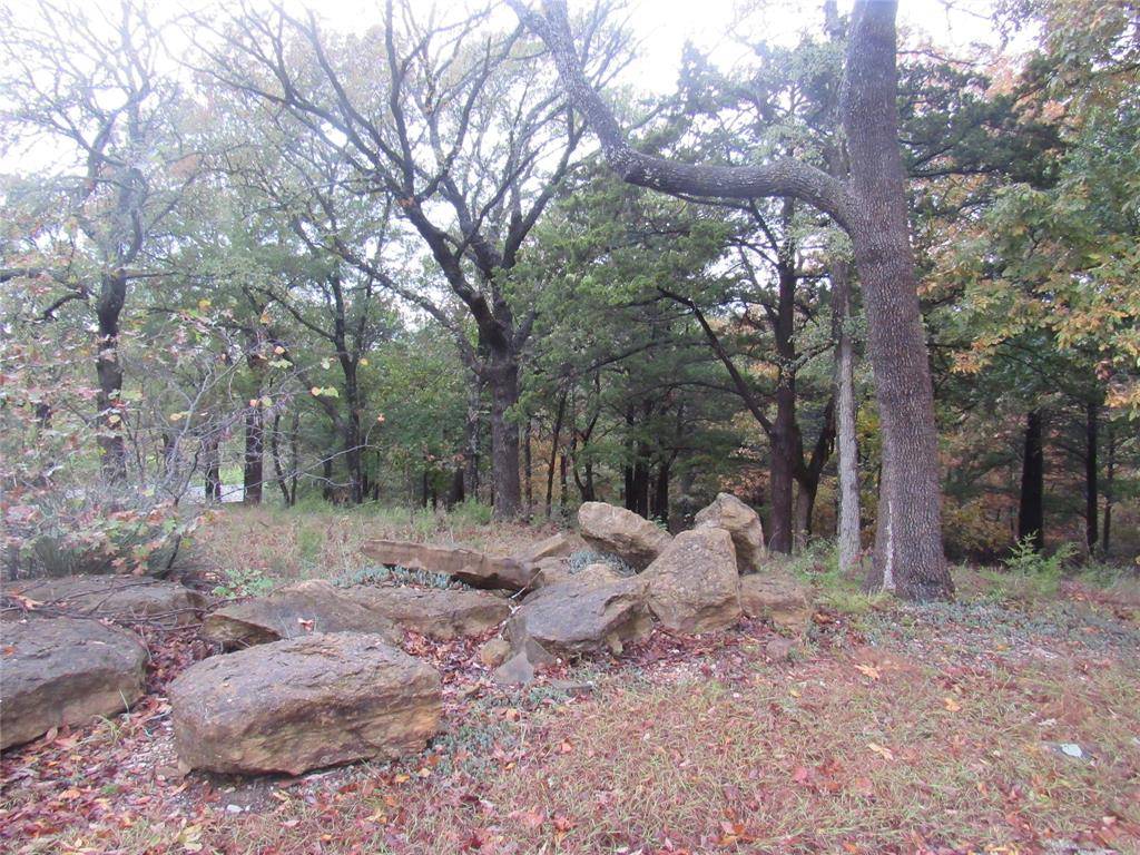 Pottsboro, TX 75076,TBD 881-3 Tanglewood Trail