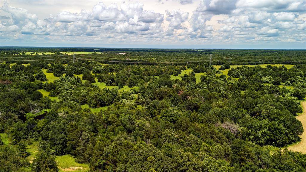 Wortham, TX 76693,Tract 10 FM-1366