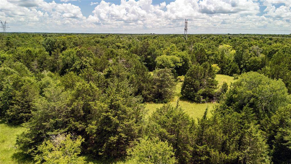 Wortham, TX 76693,Tract 12 FM-1366