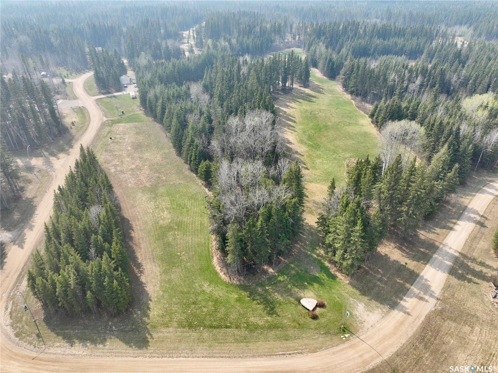 Paddockwood Rm No. 520, SK S0J 3E0,49 Cranberry COURT