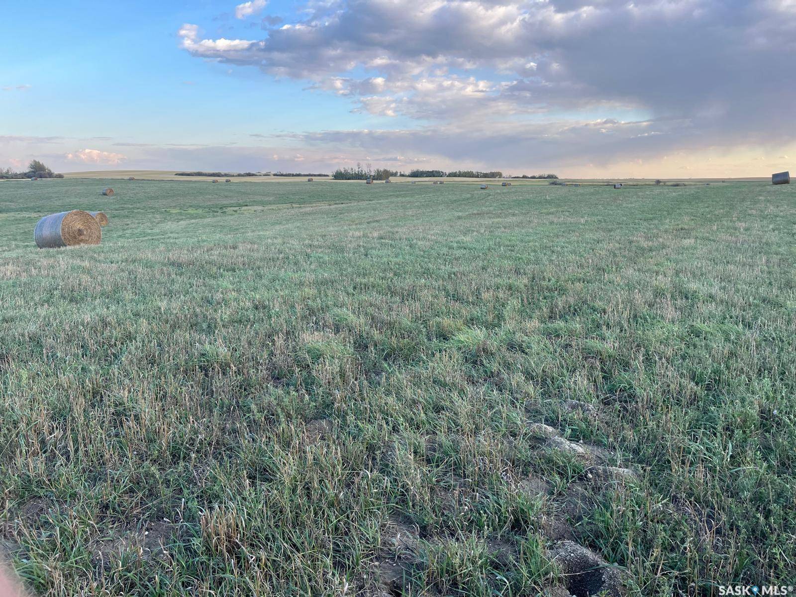Colonsay Rm No. 342, SK S0K 0Z0,Rural Address