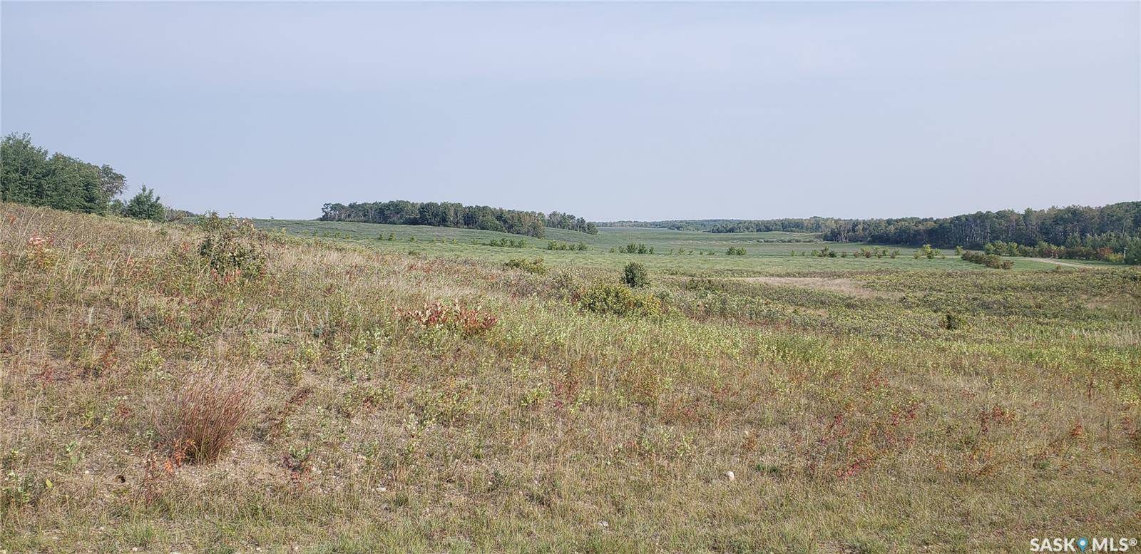 Duck Lake Rm No. 463, SK S0K 1J0,4 WHITETAIL TRAIL