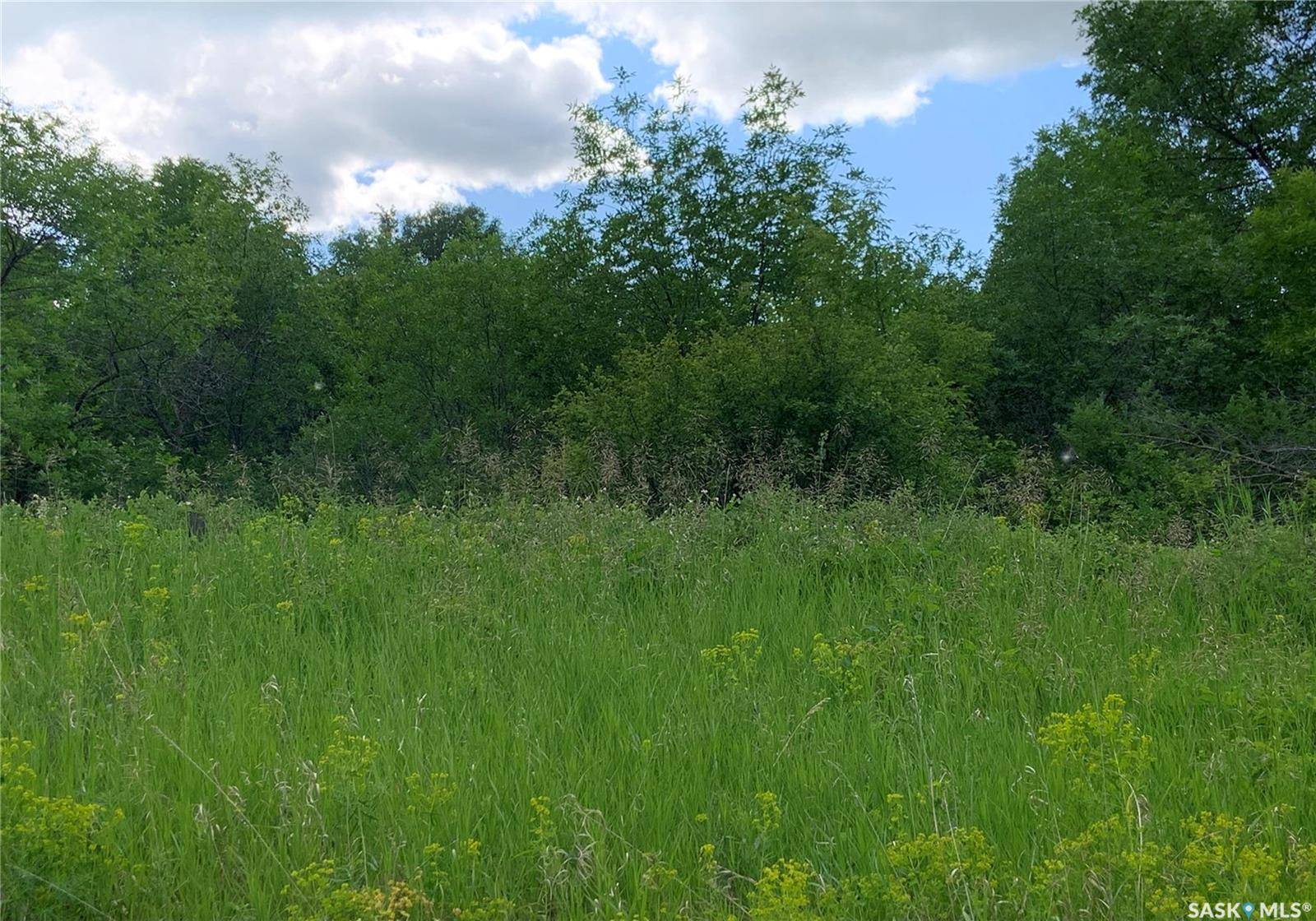 131 Hillside PLACE, Buena Vista, SK S2V 1A5