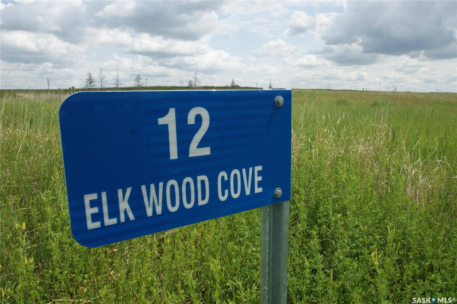 Dundurn Rm No. 314, SK S7C 0C5,12 Elk Wood COVE