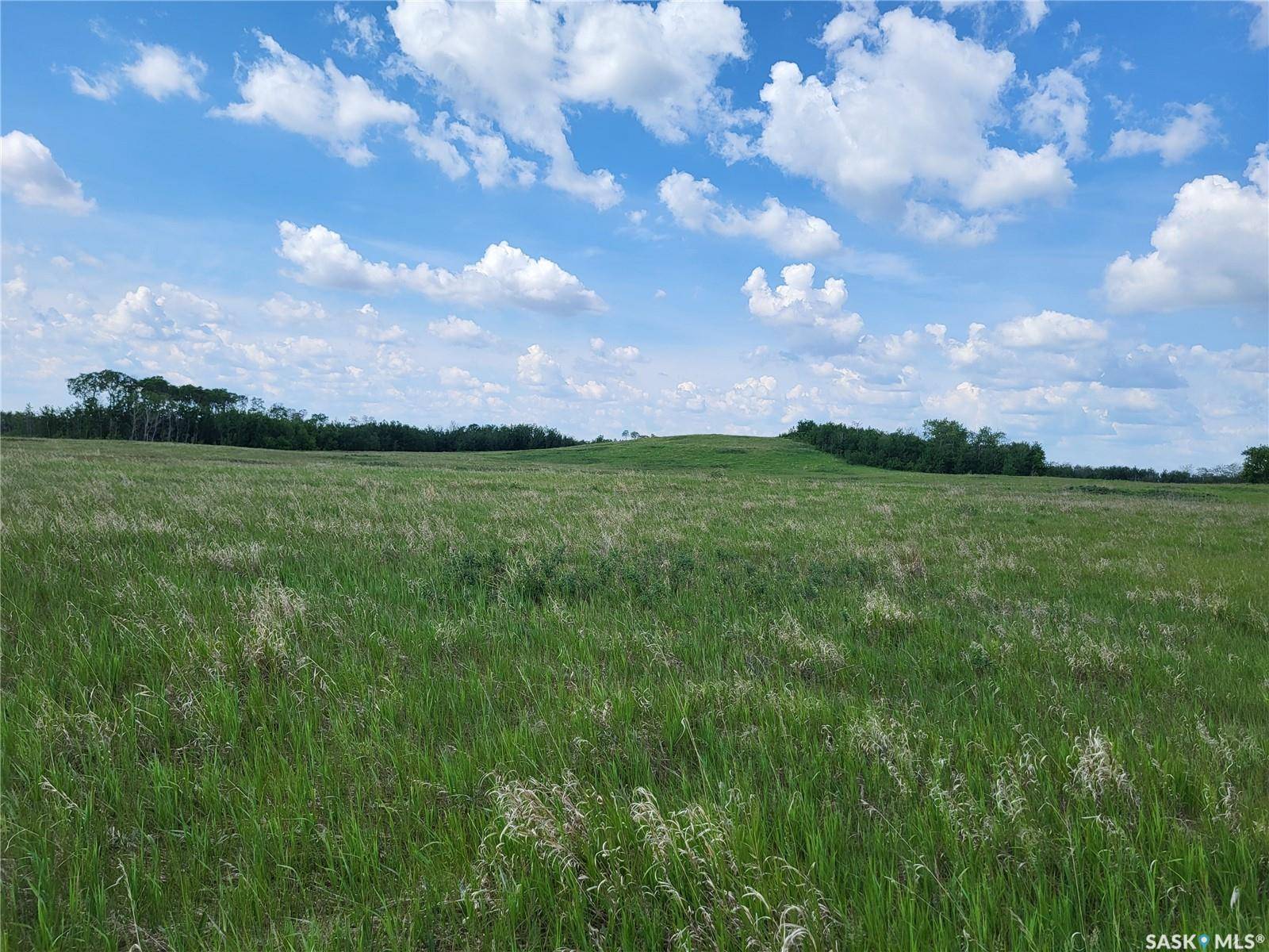 Fish Creek Rm No. 402, SK S0K 0E0,Rural Address