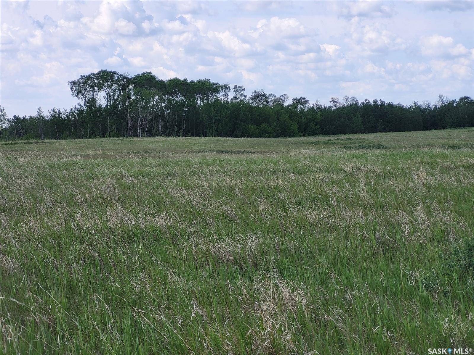 Fish Creek Rm No. 402, SK S0K 0E0,Rural Address