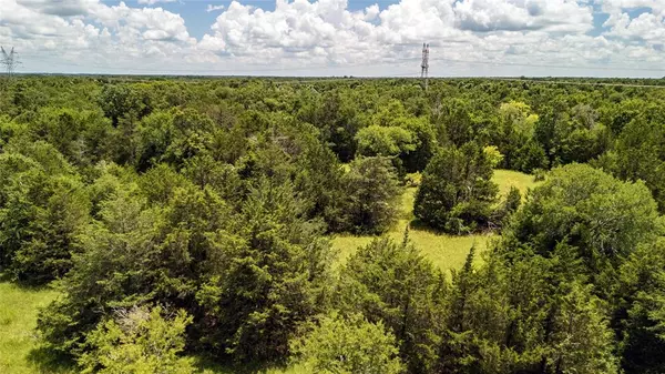 Wortham, TX 76693,Tract 7 FM-1366