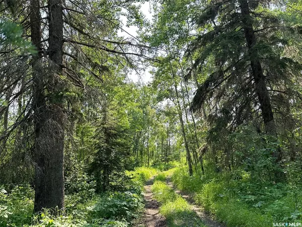 Iroquois Lake, SK S0J 2G0,Rural Address