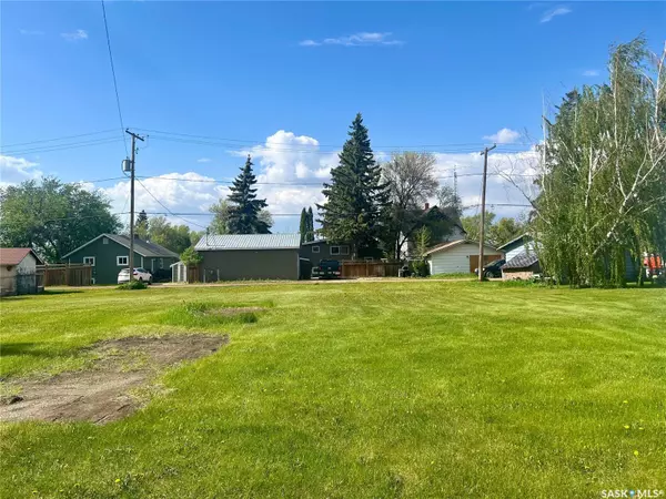 Birch Hills, SK S0J 0G0,Lot 18 McCallum AVENUE
