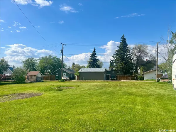 Birch Hills, SK S0J 0G0,Lot 18 McCallum AVENUE