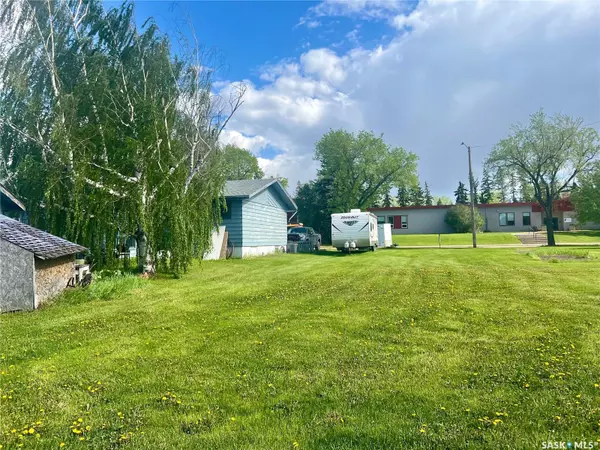 Birch Hills, SK S0J 0G0,Lot 18 McCallum AVENUE