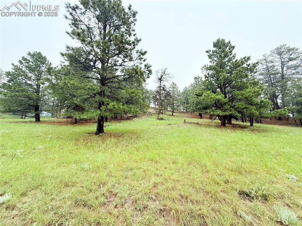 Peyton, CO 80831,17350 Lodgepole RD