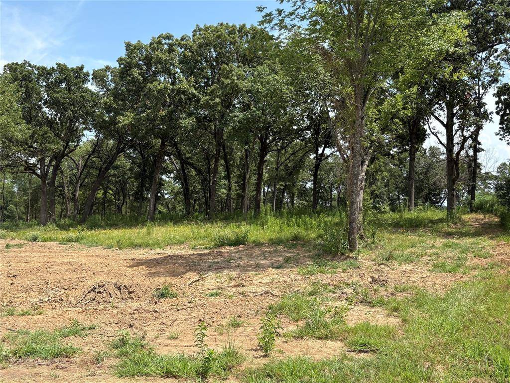 Yantis, TX 75497,579 County Road 1843