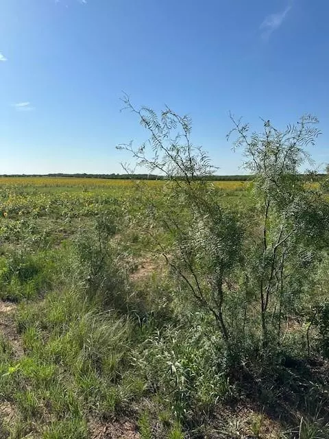 Gouldbusk, TX 76845,TBD County Road 250 Road