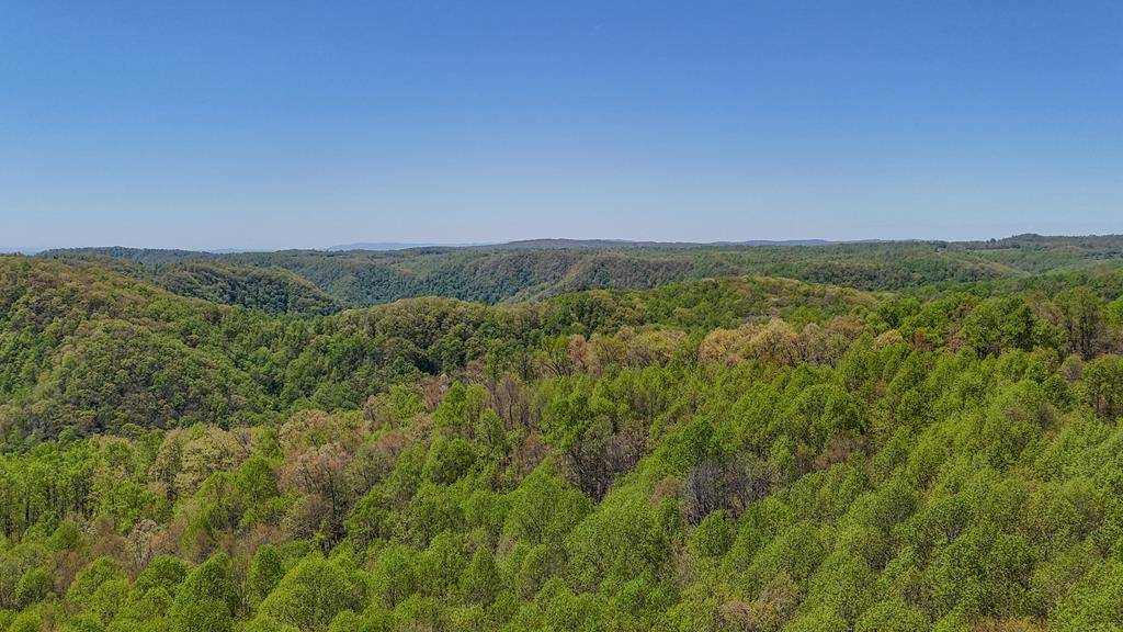 0 Bent School Rd, Meadows Of Dan, VA 24120