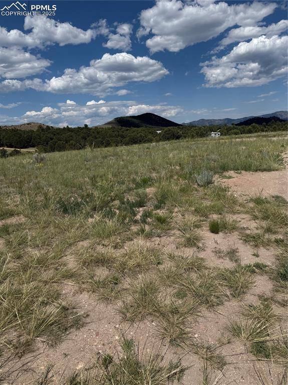 Cotopaxi, CO 81223,1739 17th TRL