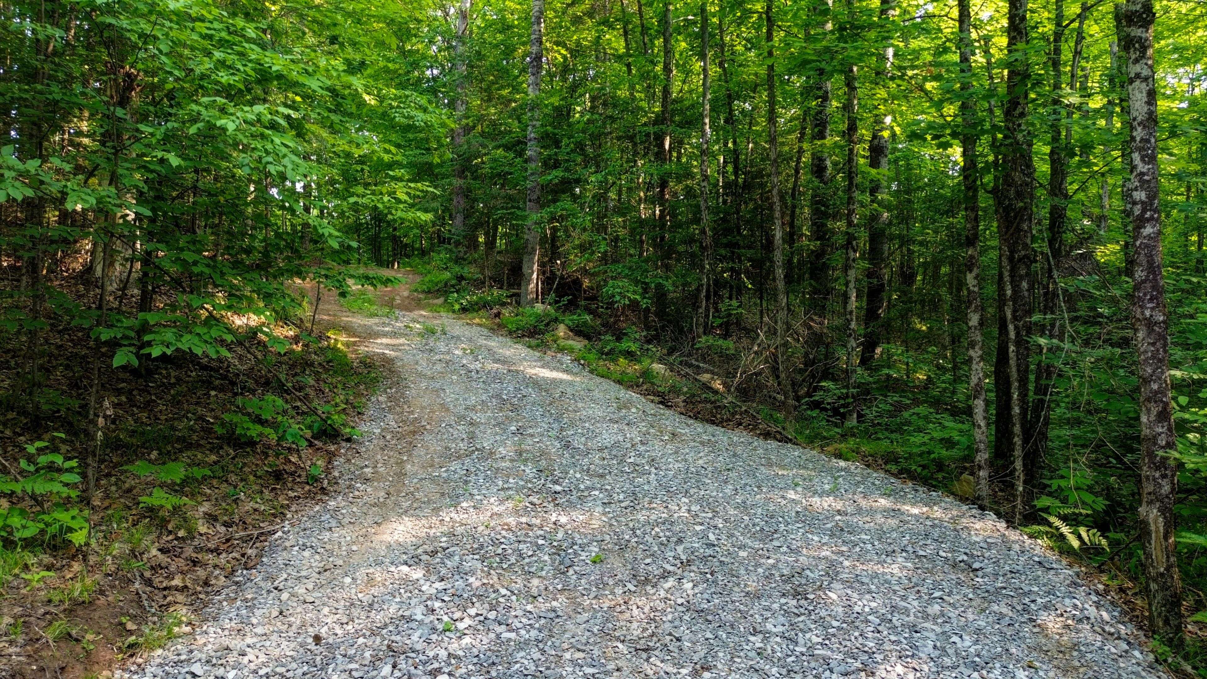 00 Rose Island RD, Wollaston, ON K0L 1P0