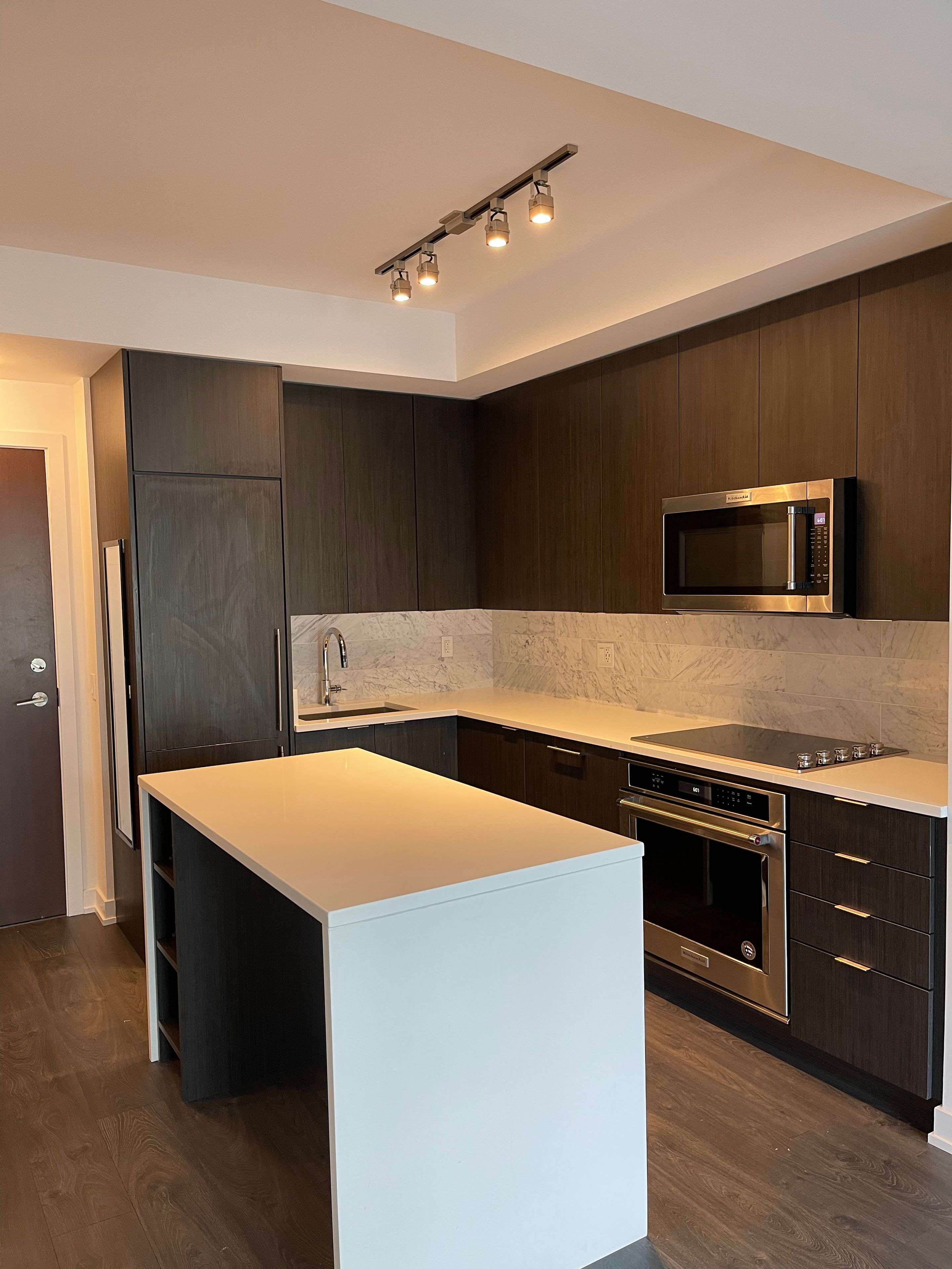 Toronto C01, ON M5V 0S2,38 Iannuzzi ST #1508
