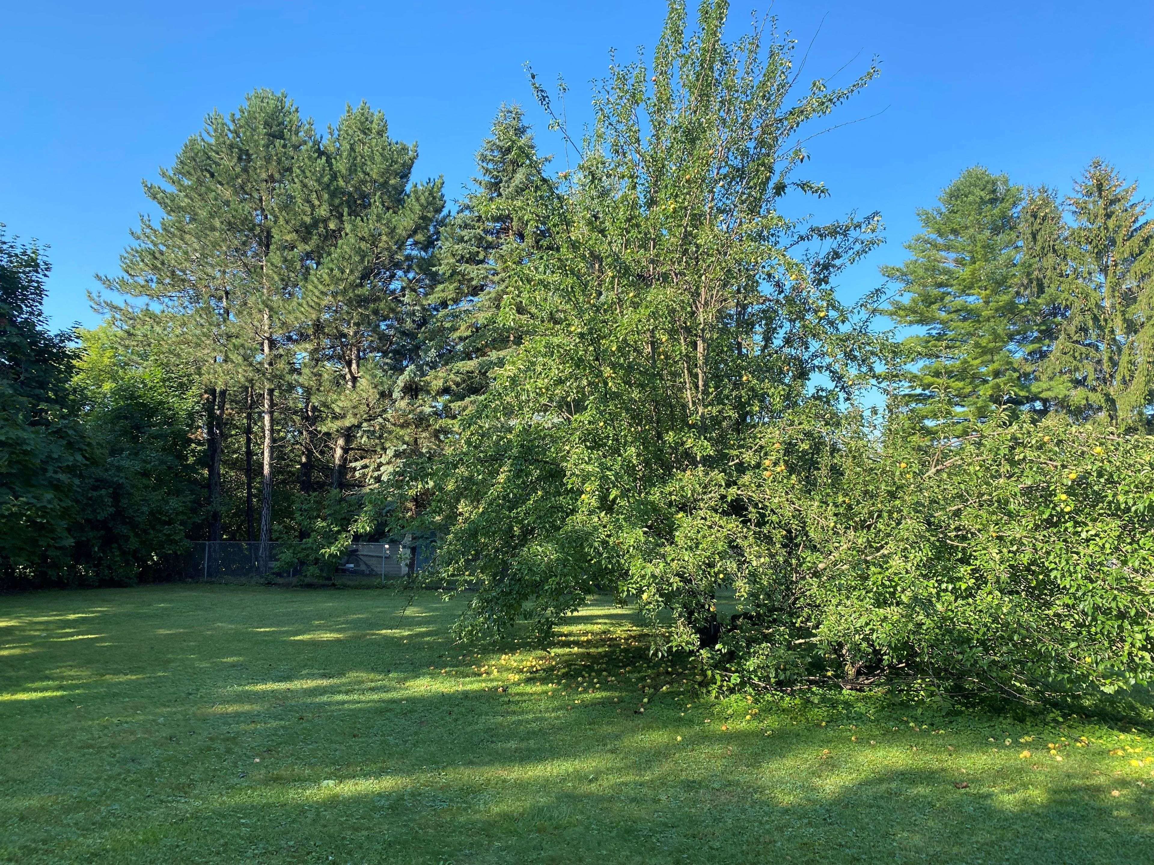 East Gwillimbury, ON L0G 1V0,25 Sharon BLVD