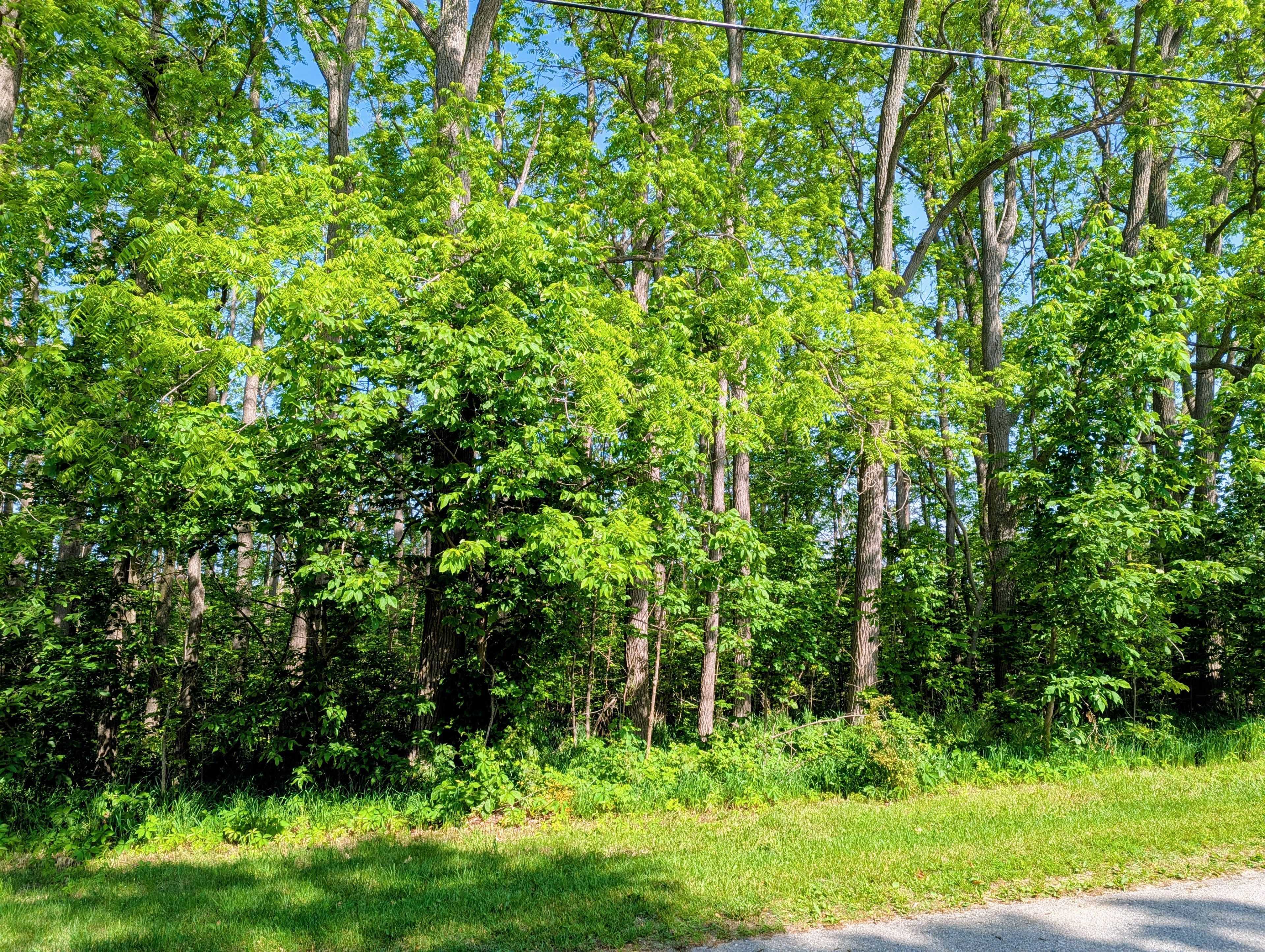 Central Huron, ON N0M 1E0,Lot 17 John ST