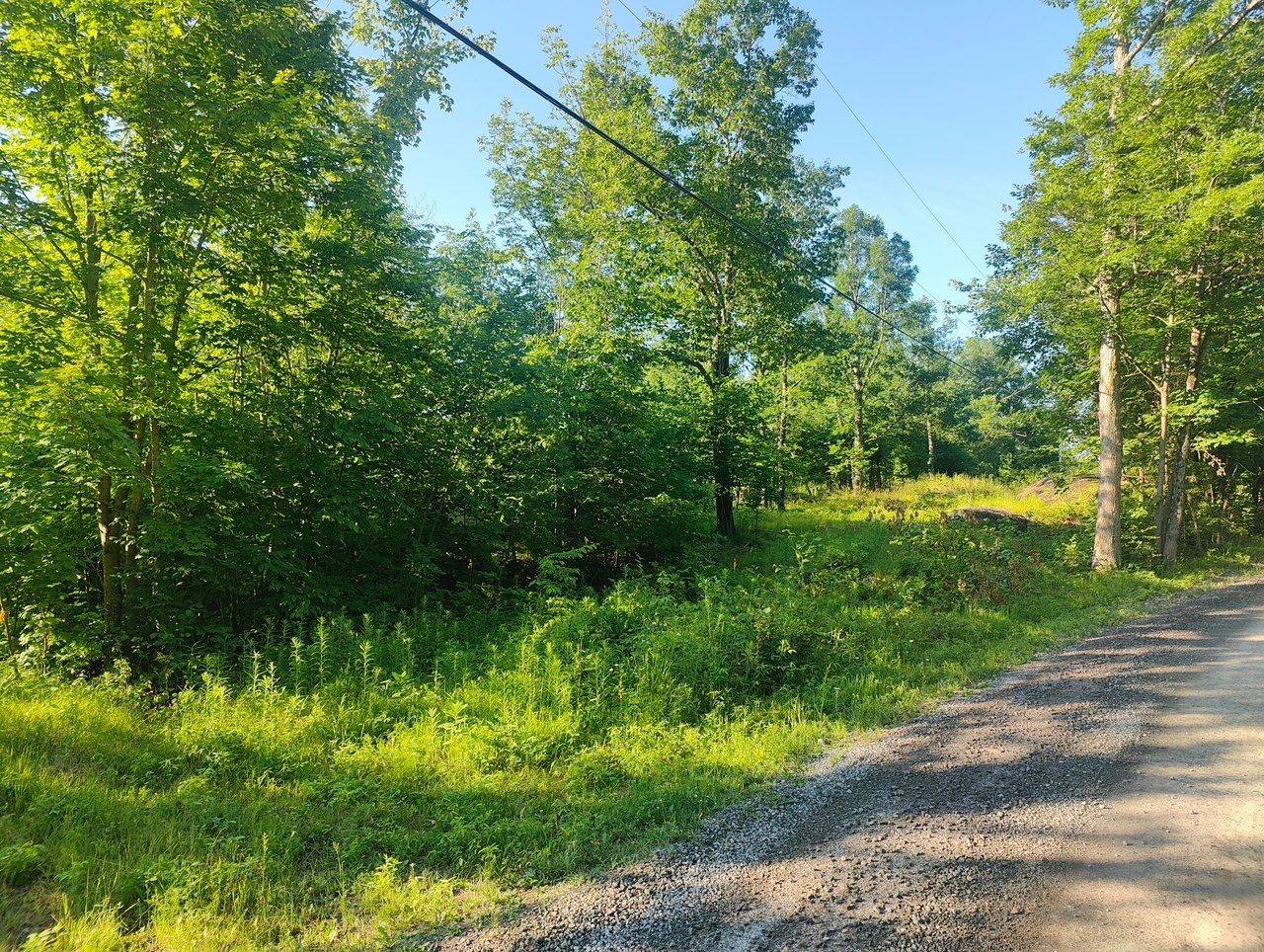 621A Cook RD, Marmora And Lake, ON K0K 2M0
