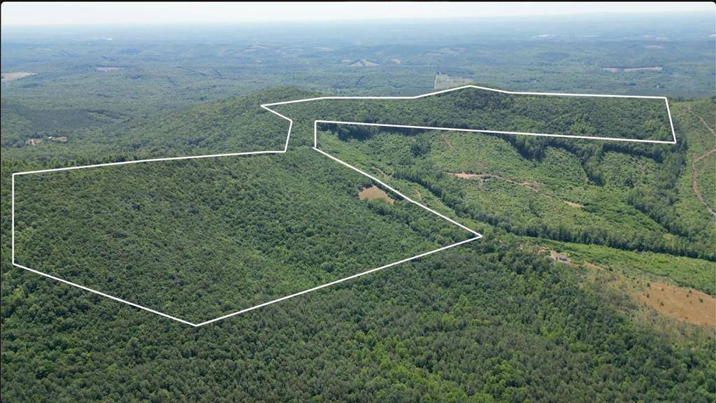Ball Mountain Lane, Shipman, VA 22971
