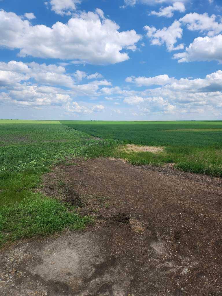 RR 250 Twp 214, Mossleigh, AB T0L 1P0