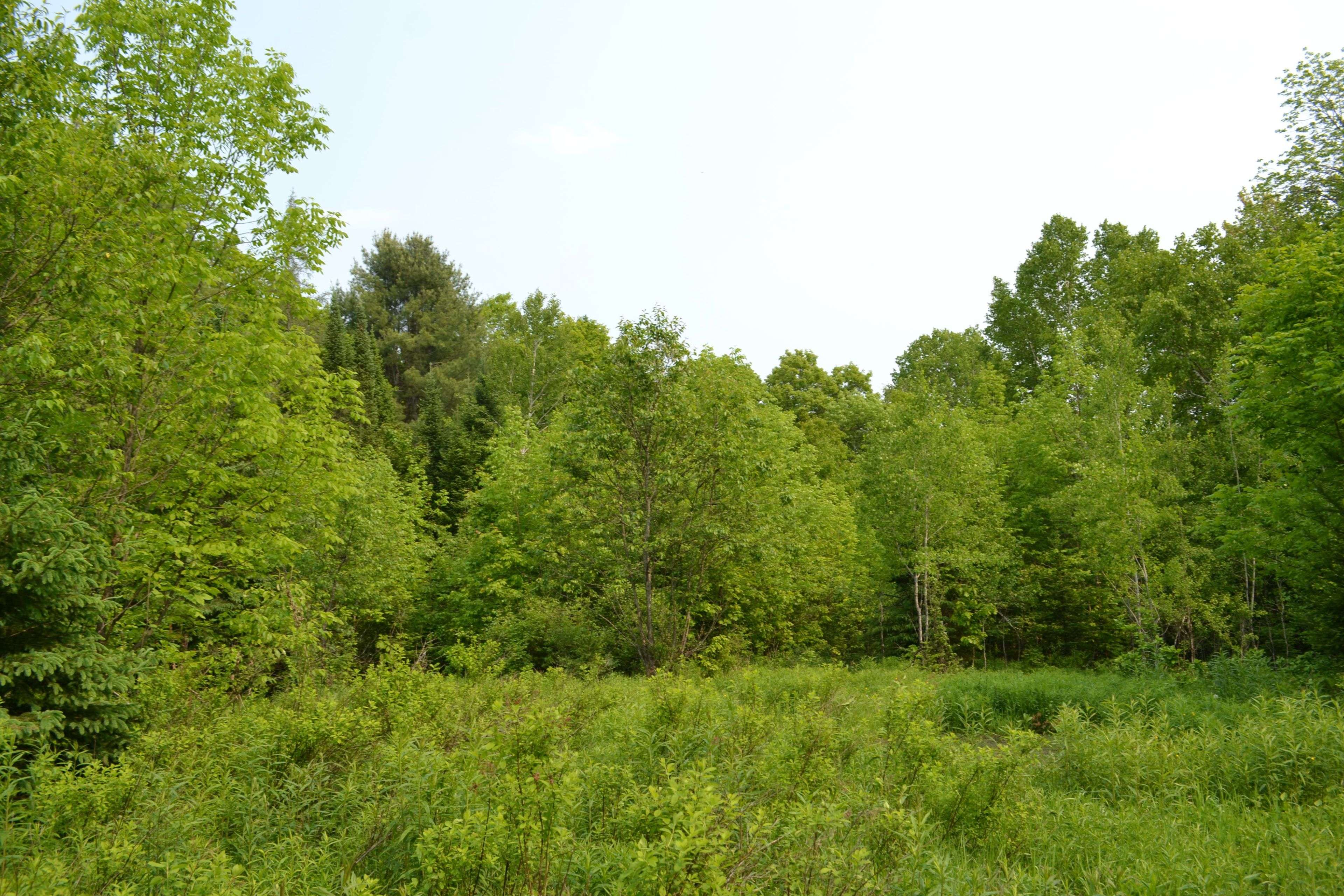 Highlands East, ON K0M 1R0,1527 Madill RD