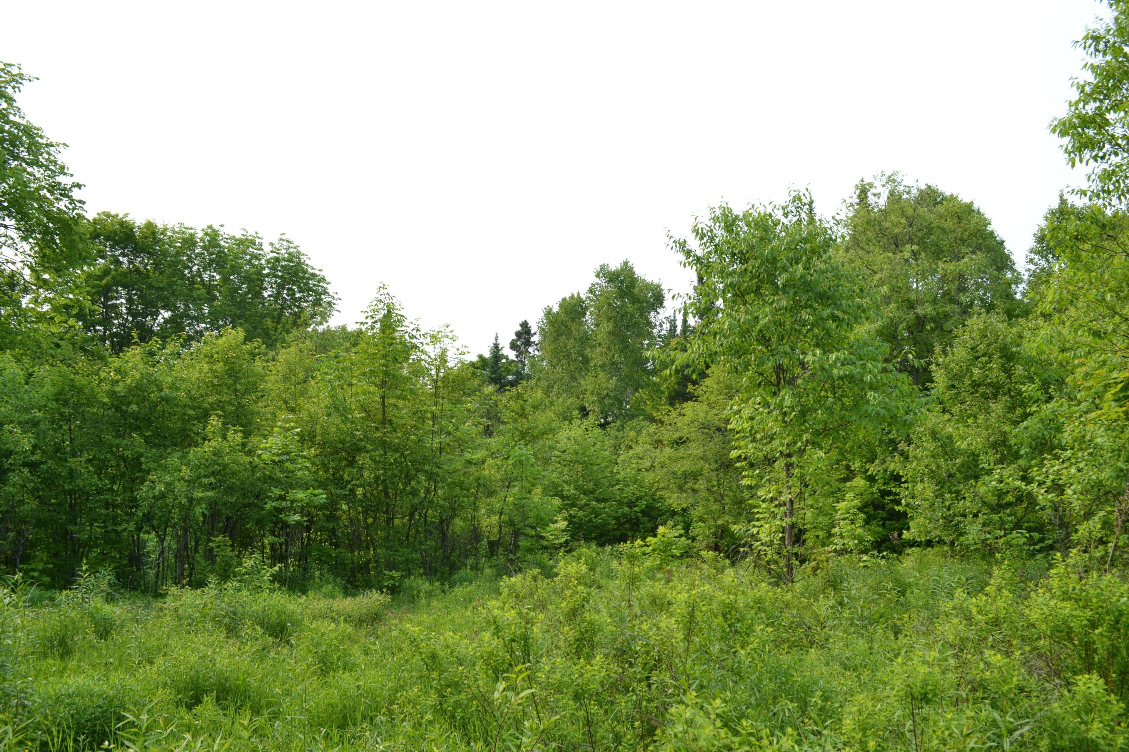 Highlands East, ON K0M 1R0,1527 Madill RD