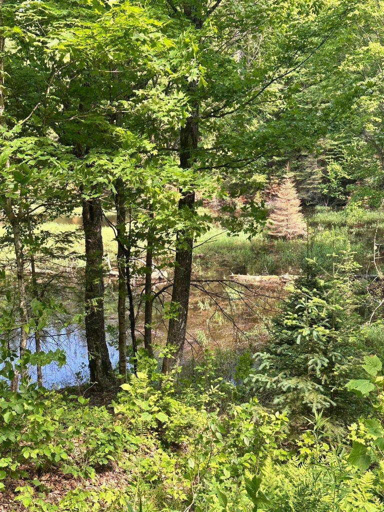 Highlands East, ON K0M 1R0,Pt Lot 6 Con 10 Monmouth Madill RD