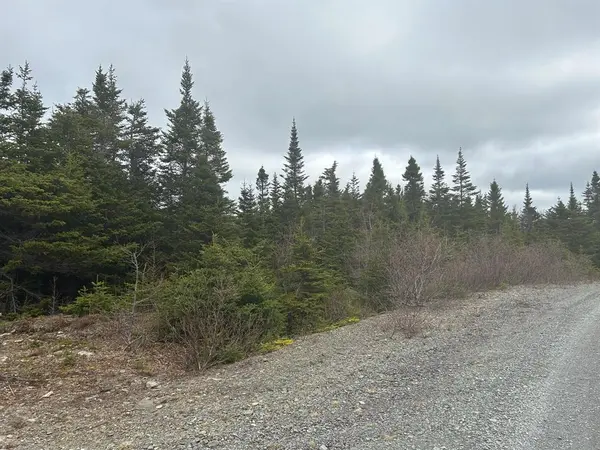 Lot # 06 Quarry Road, Burgoynes Cove, NL A0C 1G0