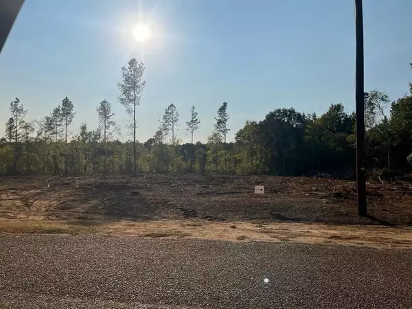 4 Lake Road, Plain Dealing, LA 71064