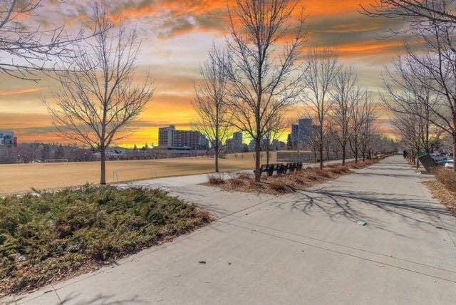Calgary, AB T2E0C7,930 Centre AVE Northeast #426