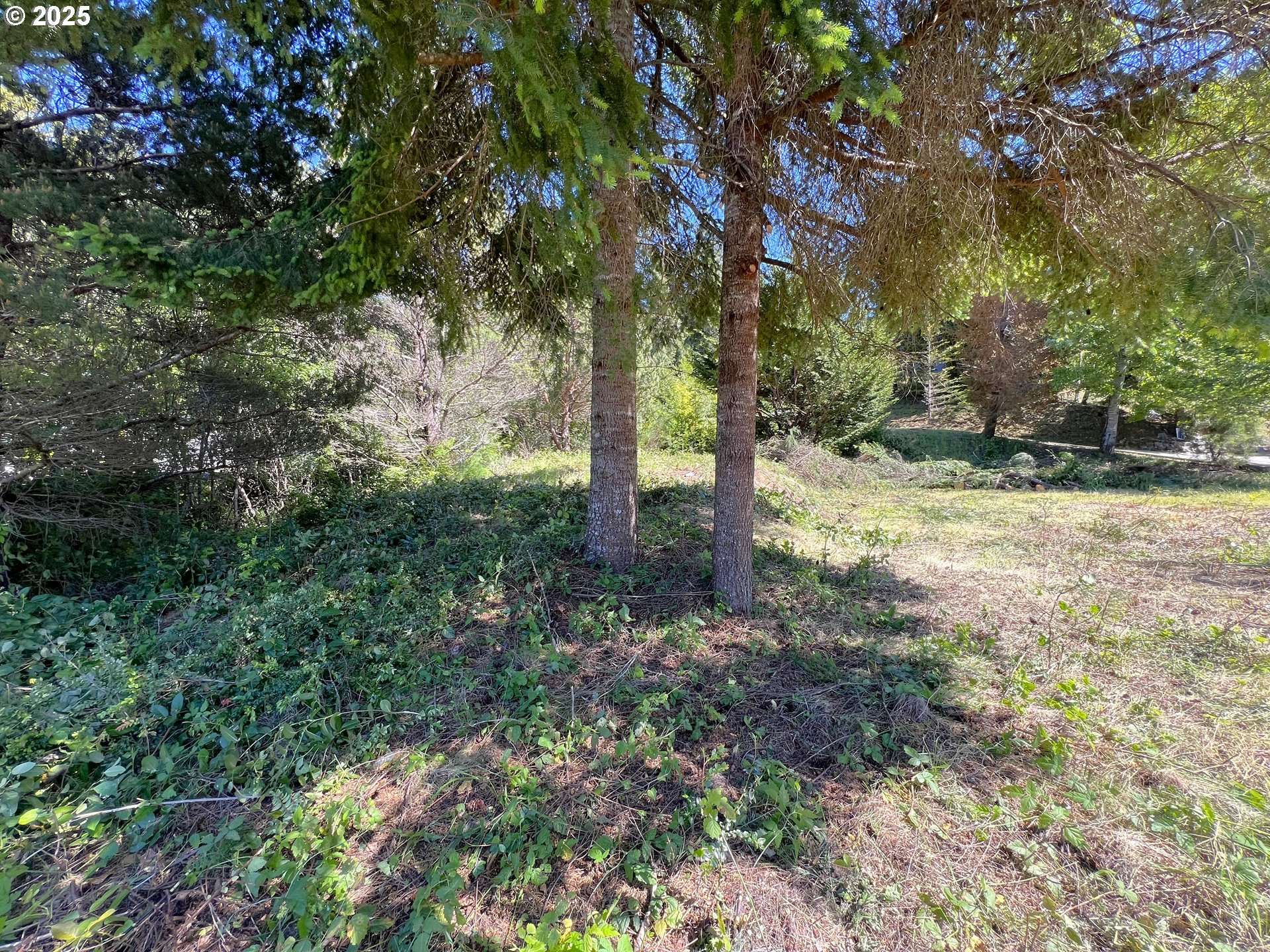Coos Bay, OR 97420,2211 Timberline DR #27