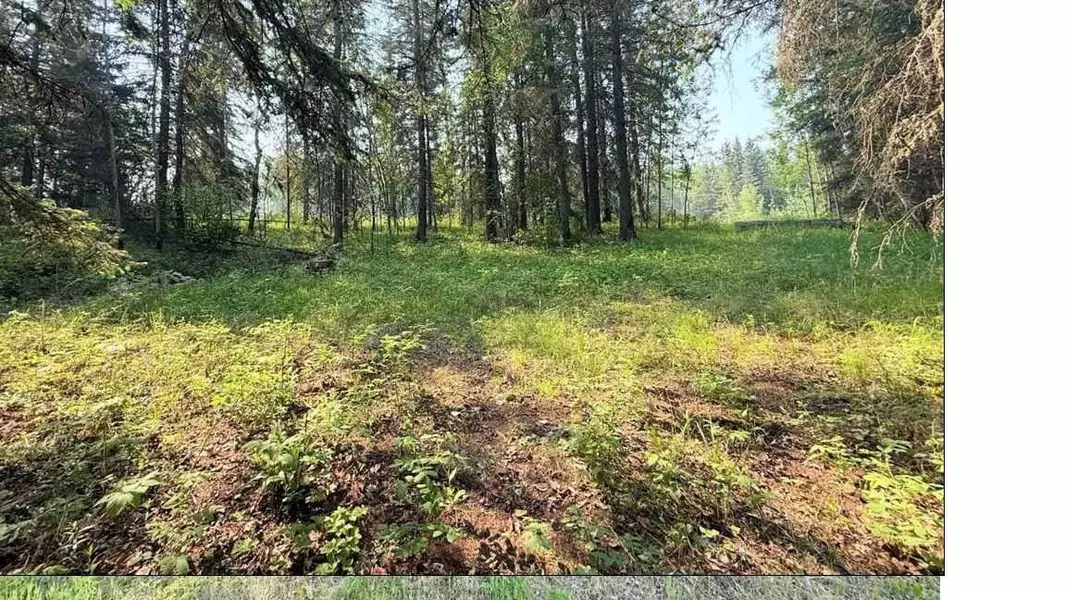 221054 670 Township, Rural Athabasca County, AB T9S 2B5