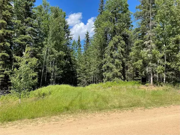 Rural Athabasca County, AB T9S 2B5,221054 670 Township