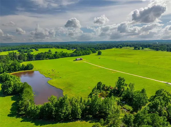 Palestine, TX 75801,3318 FM 1137