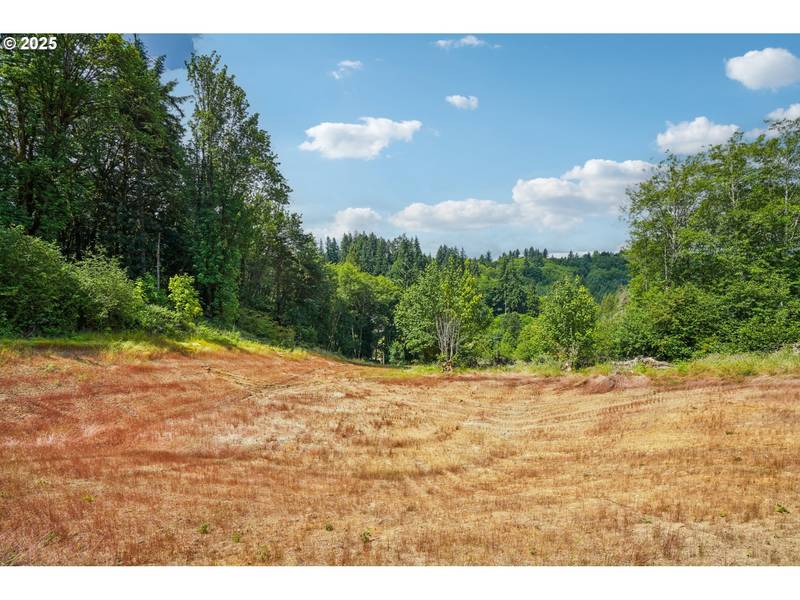 1830 Hazel Dell RD #Lot 4, Castle Rock, WA 98611