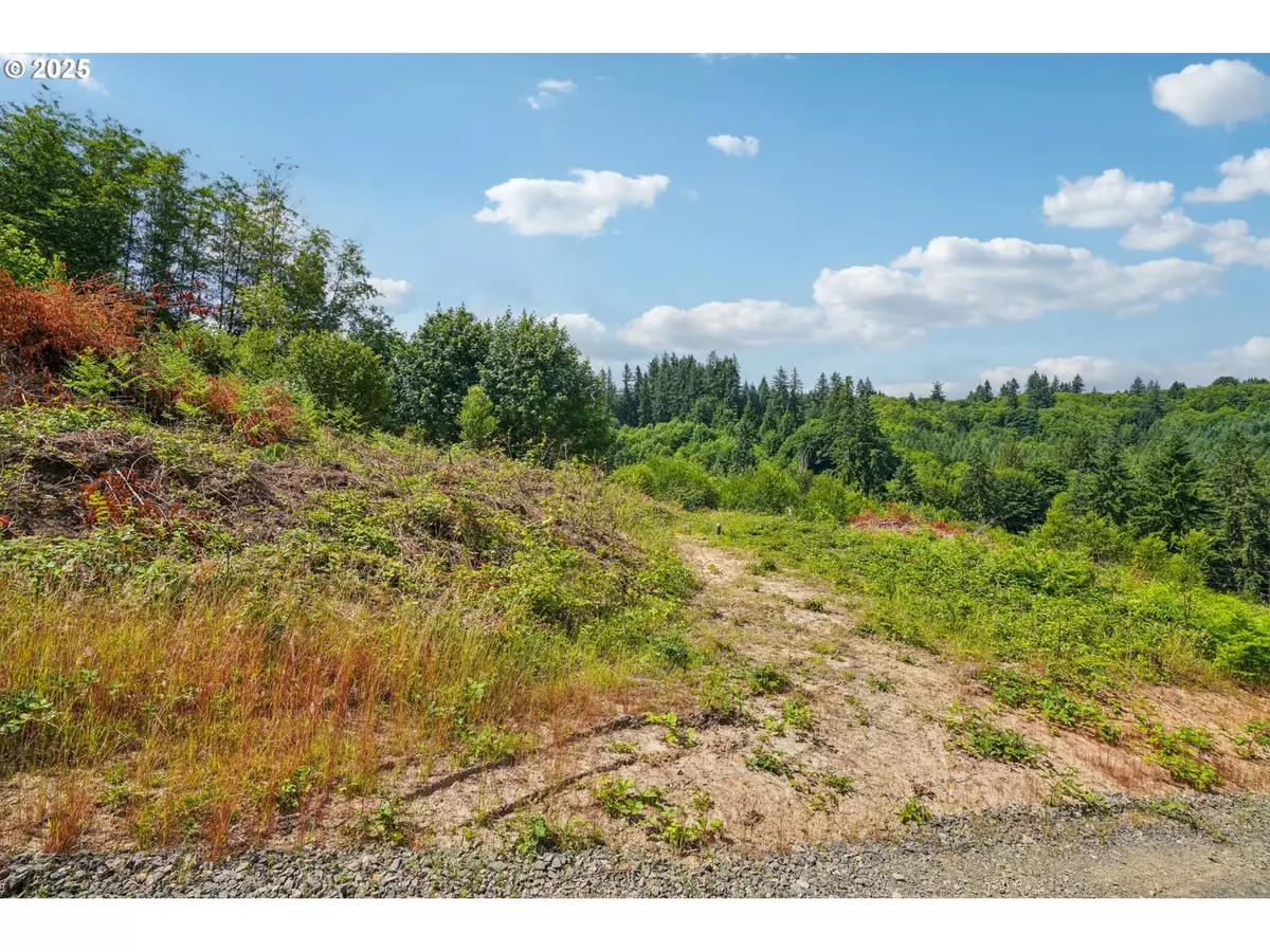 Castle Rock, WA 98611,1830 Hazel Dell RD #Lot 3