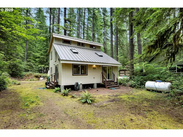 Northwoods Cabin 165, Cougar, WA 98616