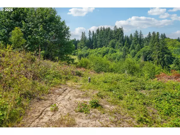 Castle Rock, WA 98611,1830 Hazel Dell RD #Lot 3